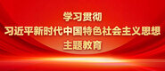 骚逼鸡巴操得你不断喷水学习贯彻习近平新时代中国特色社会主义思想主题教育_fororder_ad-371X160(2)